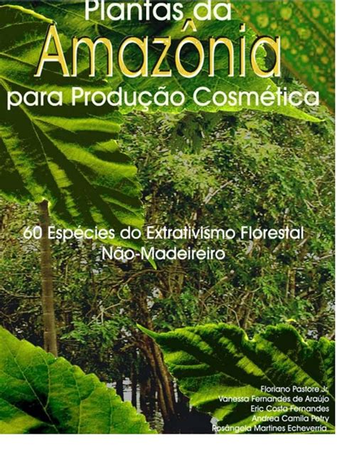  Parada da Amazônia: Głośne żądanie ekologiczne i nieoczekiwana reakcja prezydenta Bolsonaro